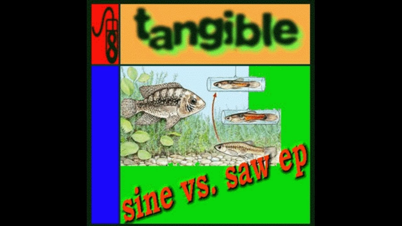 Tangible - Sine vs. Saw (1999) 8bitpeoples (8BP005) FULL ALBUM