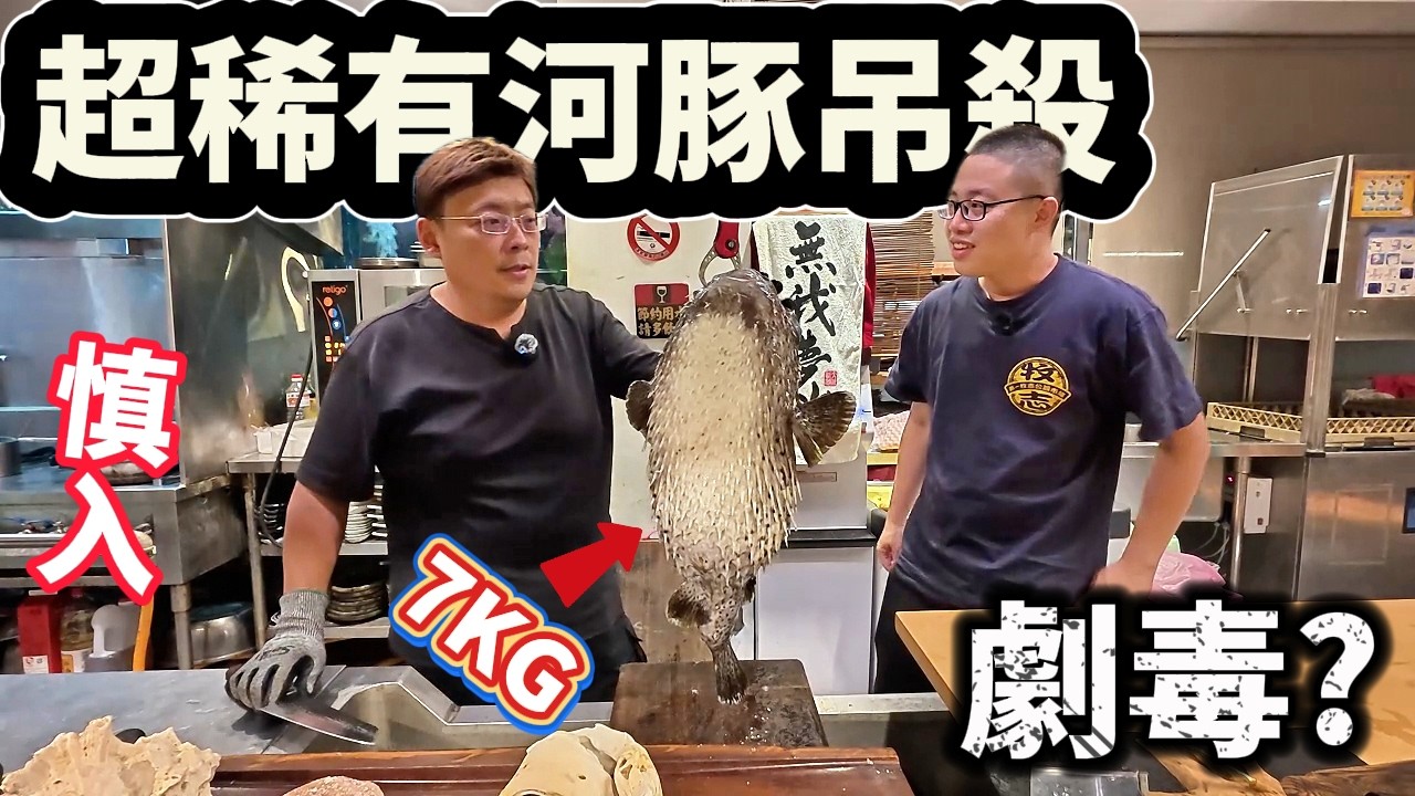 劇毒河豚?郭師傅12斤巨獸河豚吊殺全過程 重達一公斤的河豚肝是什麼味道 吃到全身迷幻 超精彩全紀錄 稀有巨大品種!!@Chefkzk