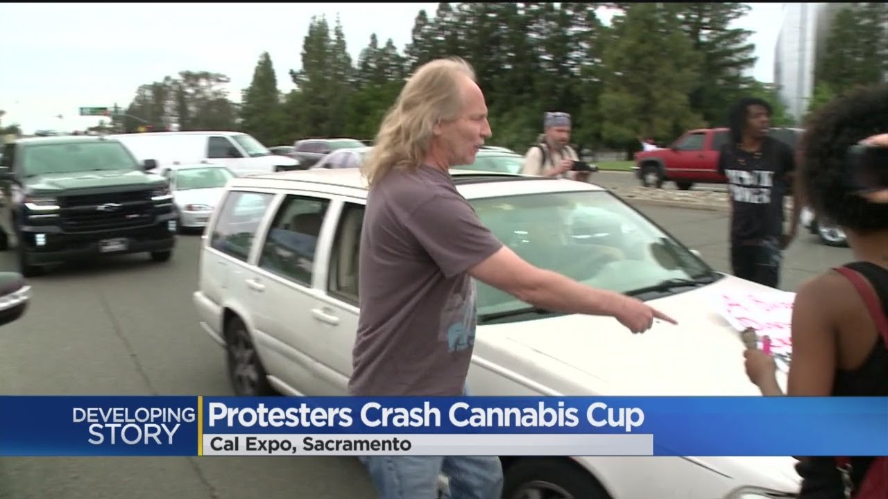 Black Lives Matter Protesters Crash Cannabis Cup