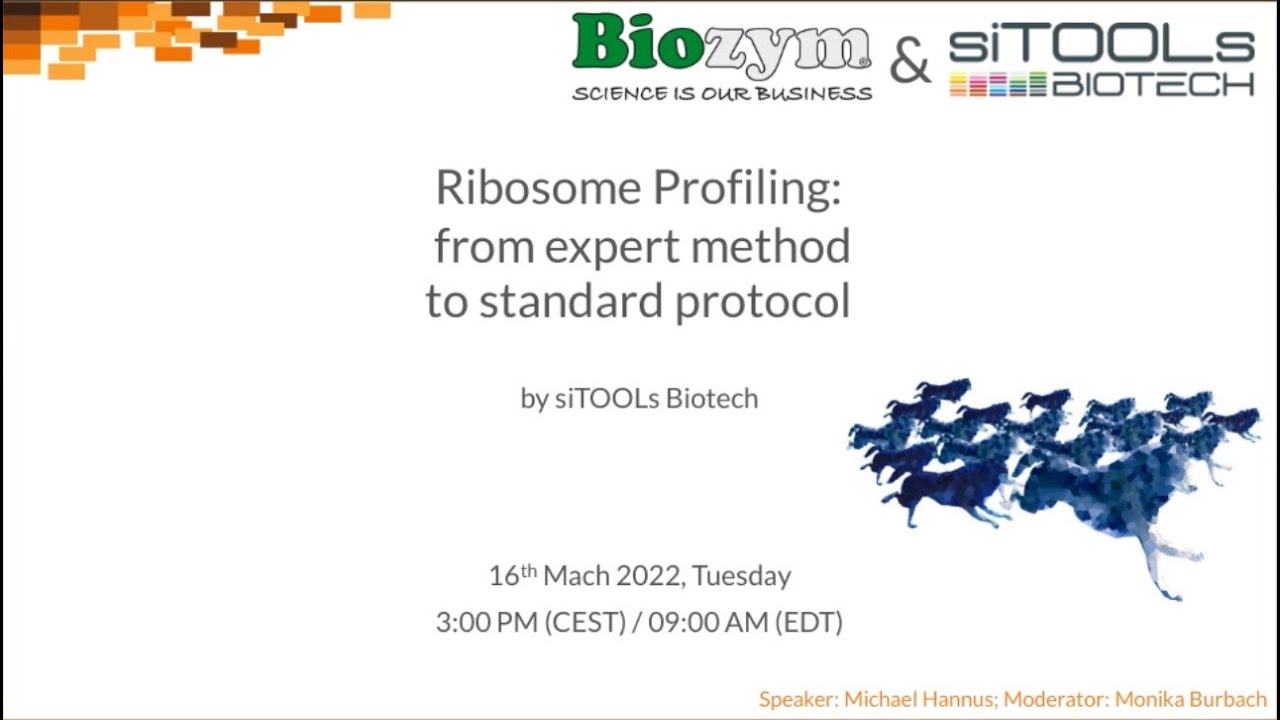 Webinar 2022: Simplify ribosome profiling with siFractor – the fractionating device and riboPOOLs