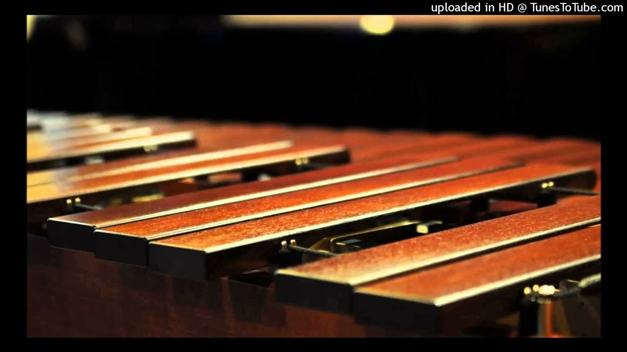 MARIMBA ESPIGA DE ORO - POPURRI RANCHERO 2