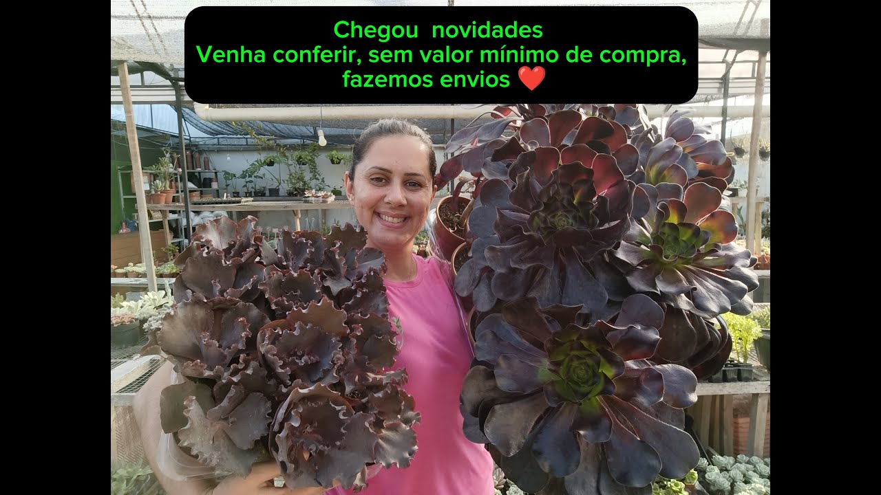 Live Tube somos de Joinville SC. Muitas promoções, Válido ate 30/01/26 ou enquanto durarem estoque.
