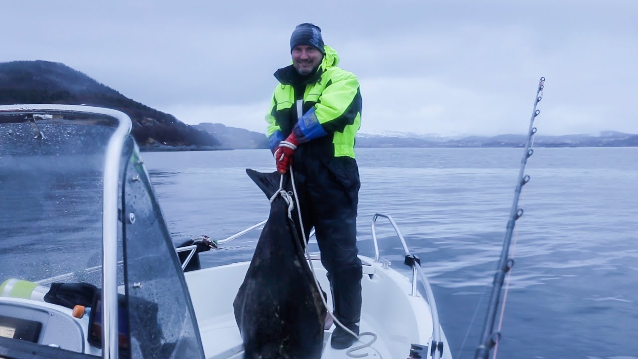 Kveitefiske - Beist på 50kg
