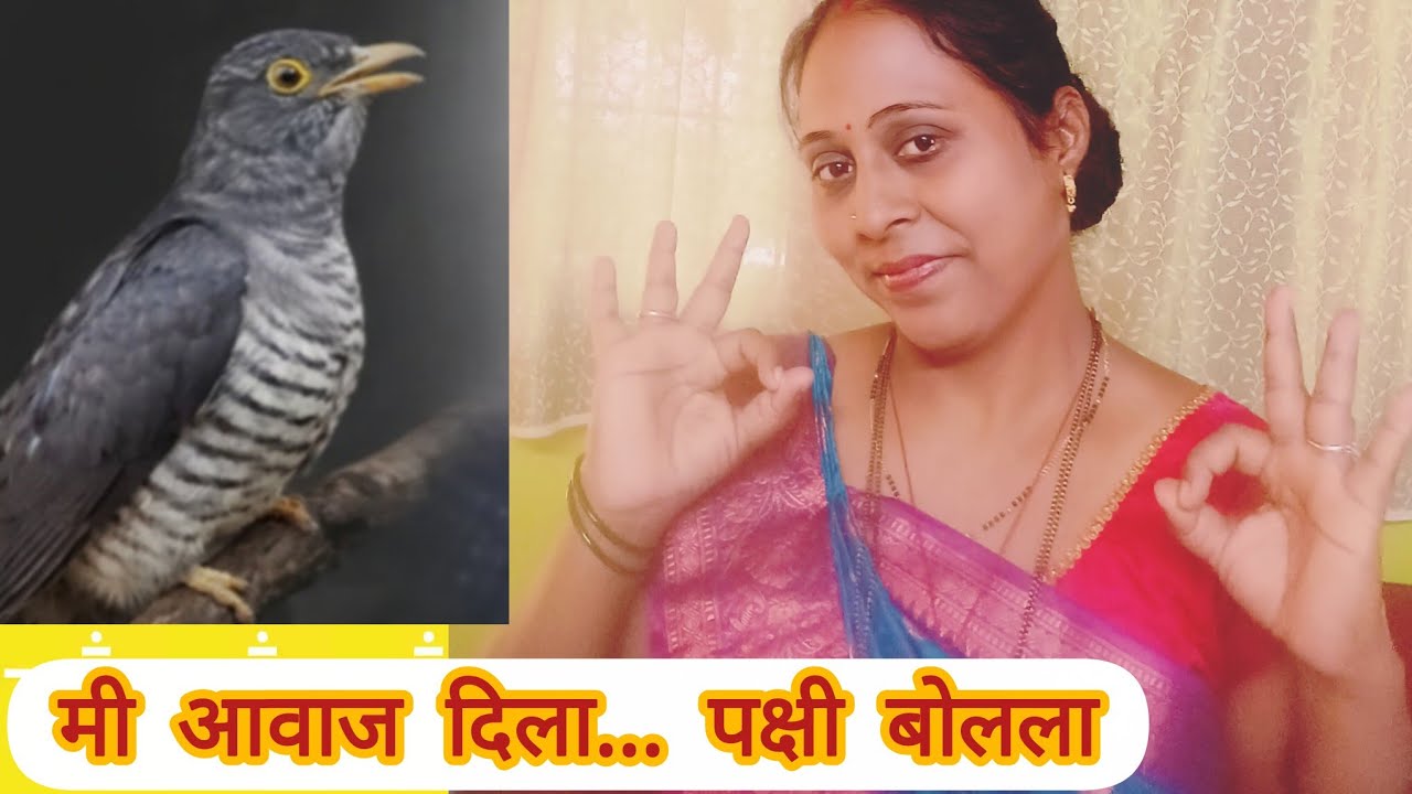 आज पक्षाने मला आवाज दिला… 😳 काय संकेत होता हा? | आयुष्यात पहिल्यांदाच असा अनुभव!