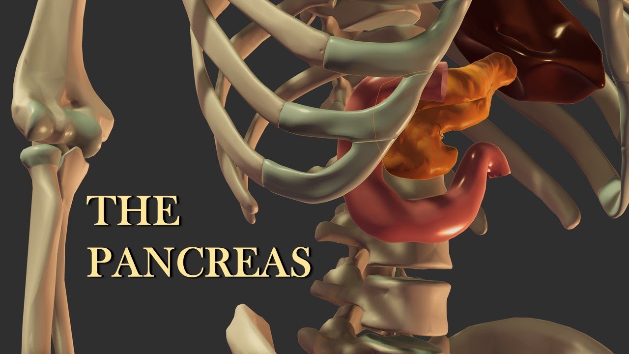 The Pancreas II: Chronic Pancreatitis and Pancreatic Cancer