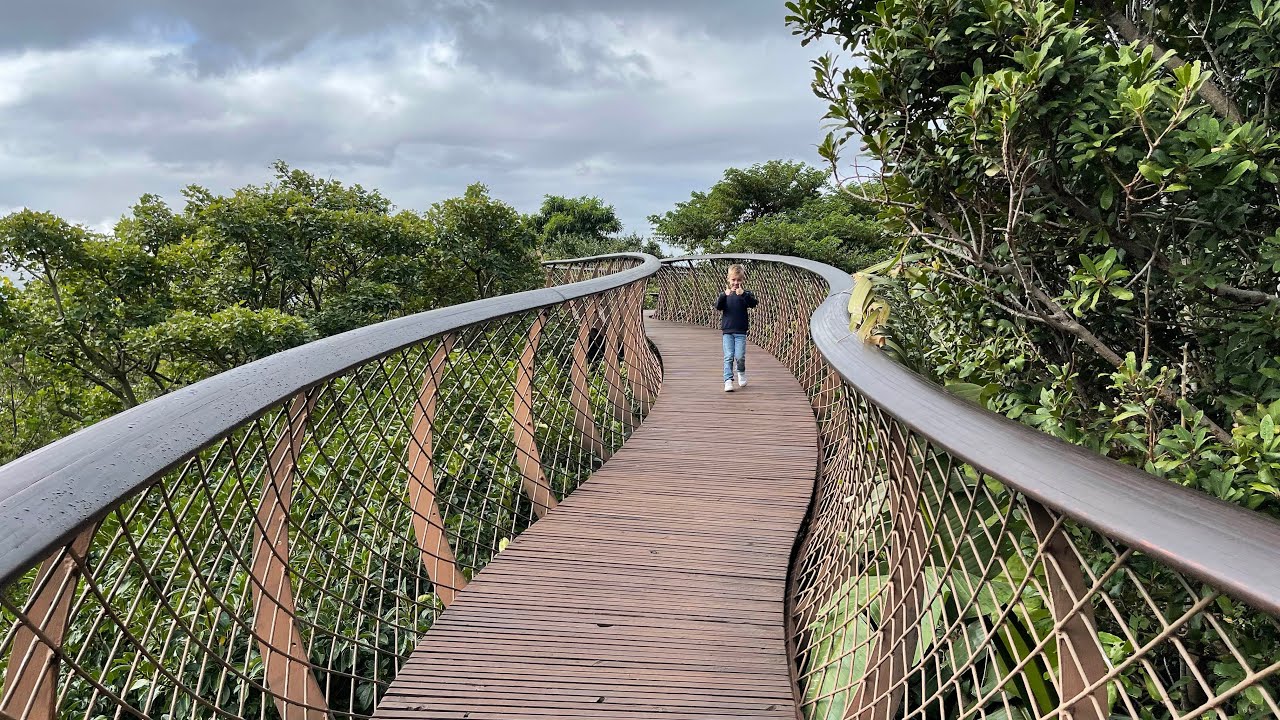 🇿🇦 Video 4 of 9 Goukamma Nature Reserve (Groenvlei) and Kirstenbosch Botanical Garden