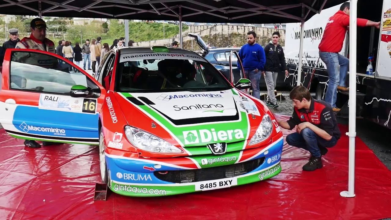 Rali Fisgas de Ermelo - Ricardo Costa Jr. / Sérgio Rocha (Peugeot 206 S1600)