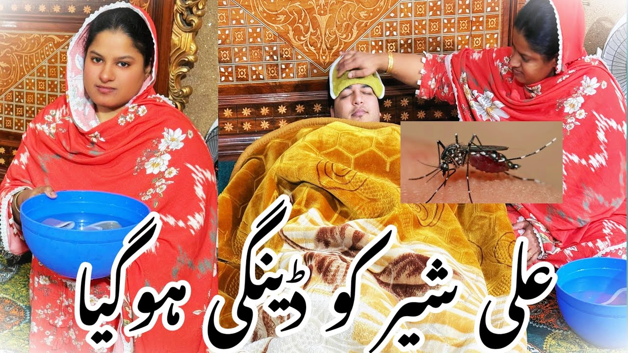 102 Fever😱 Ali Sher Ko Dengue😨 Ho Gay