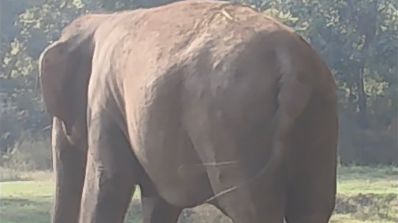 Chidiya ghr delhi ka #zoo #delhi 