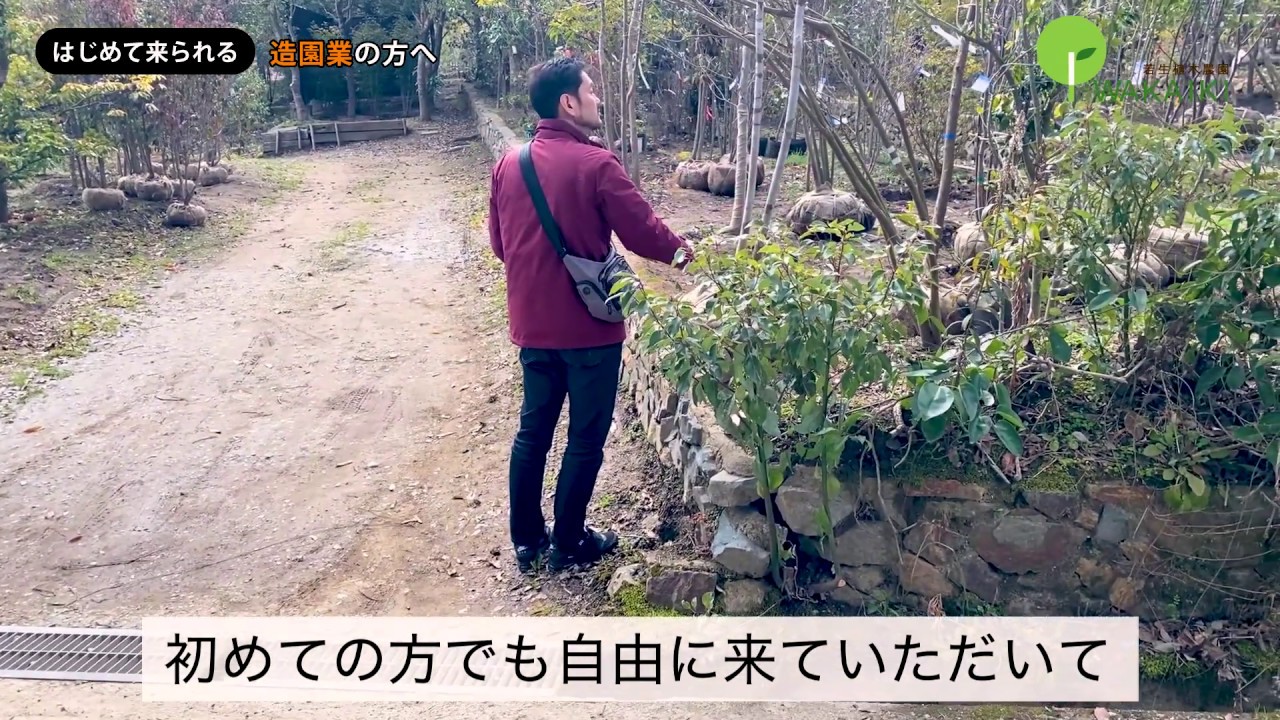 【造園業者の方へ】① お気軽にご来園ください　～若生植木農園～