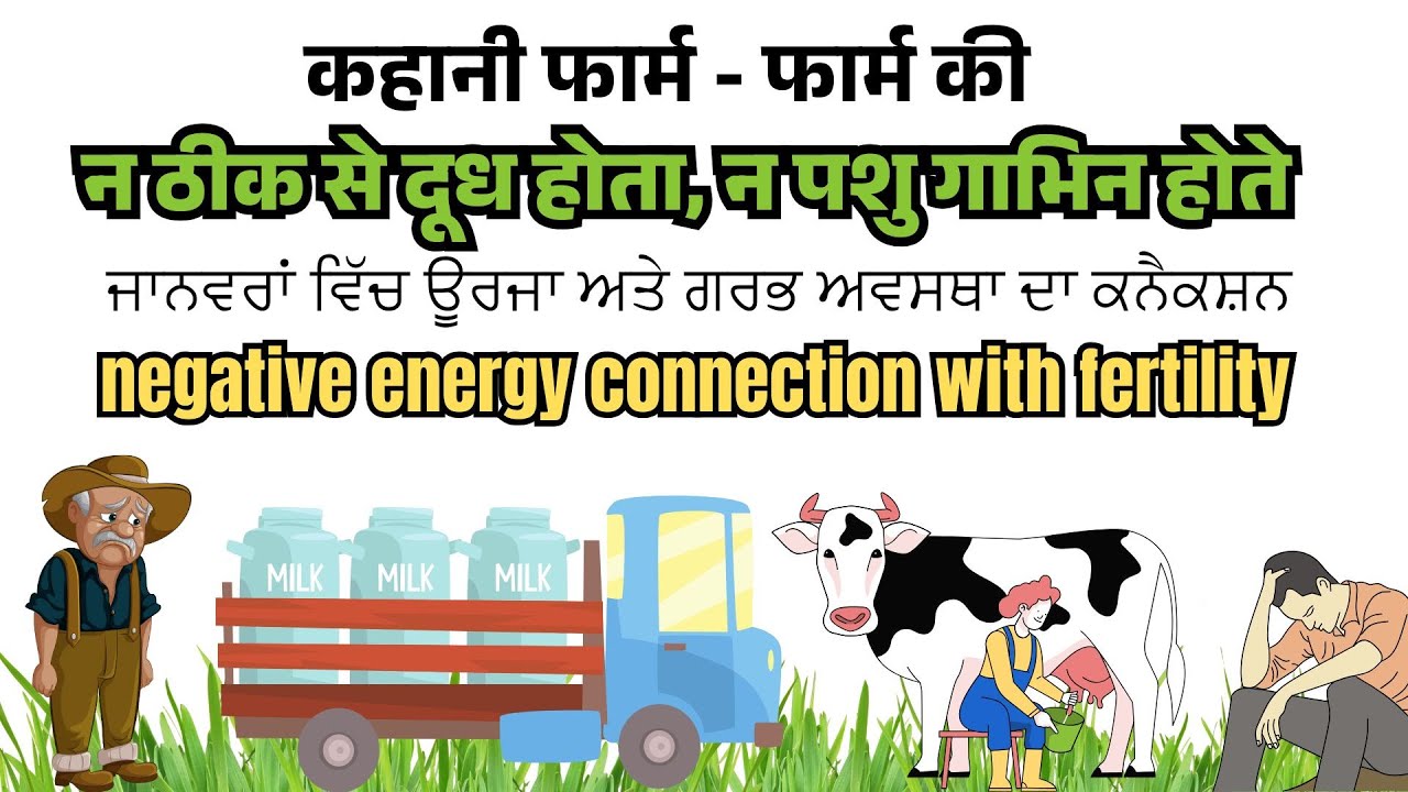 effect of negative energy on fertility in cows | ब्याने के बाद पशु हीट में नहीं आते ? Rumenia