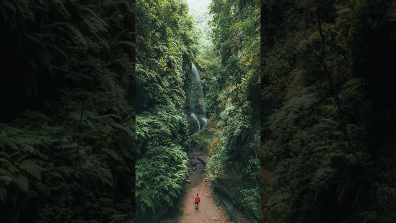 La Palma's BEST KEPT SECRET for Nature Lovers Revealed!