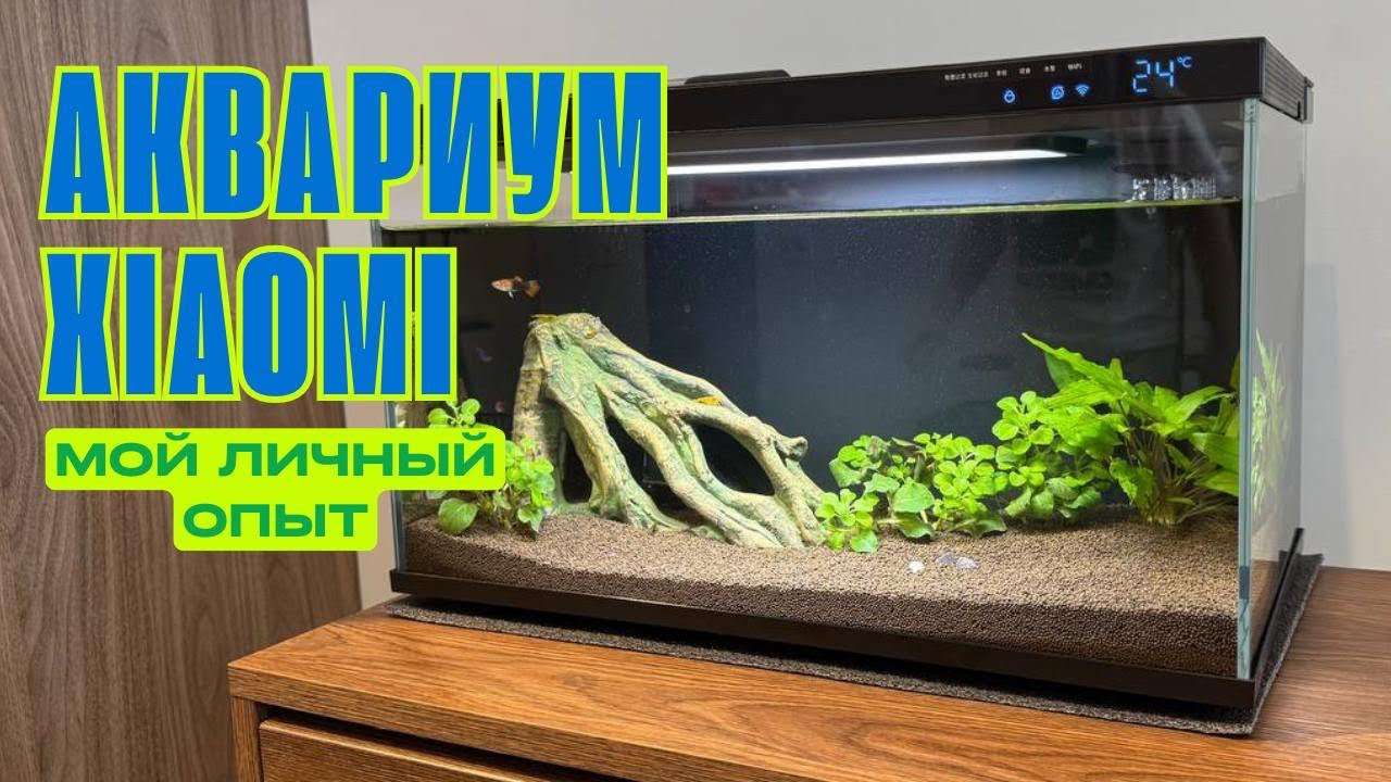 АКВАРИУМ XIAOMI &mdash; МОЙ ЛИЧНЫЙ ОПЫТ! СТОИТ ЛИ ПОКУПАТЬ? МОЖНО ЛИ ОСТАВИТЬ БЕЗ ПРИСМОТРА?