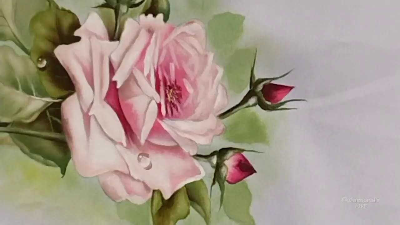 Rosa no Oxford branco