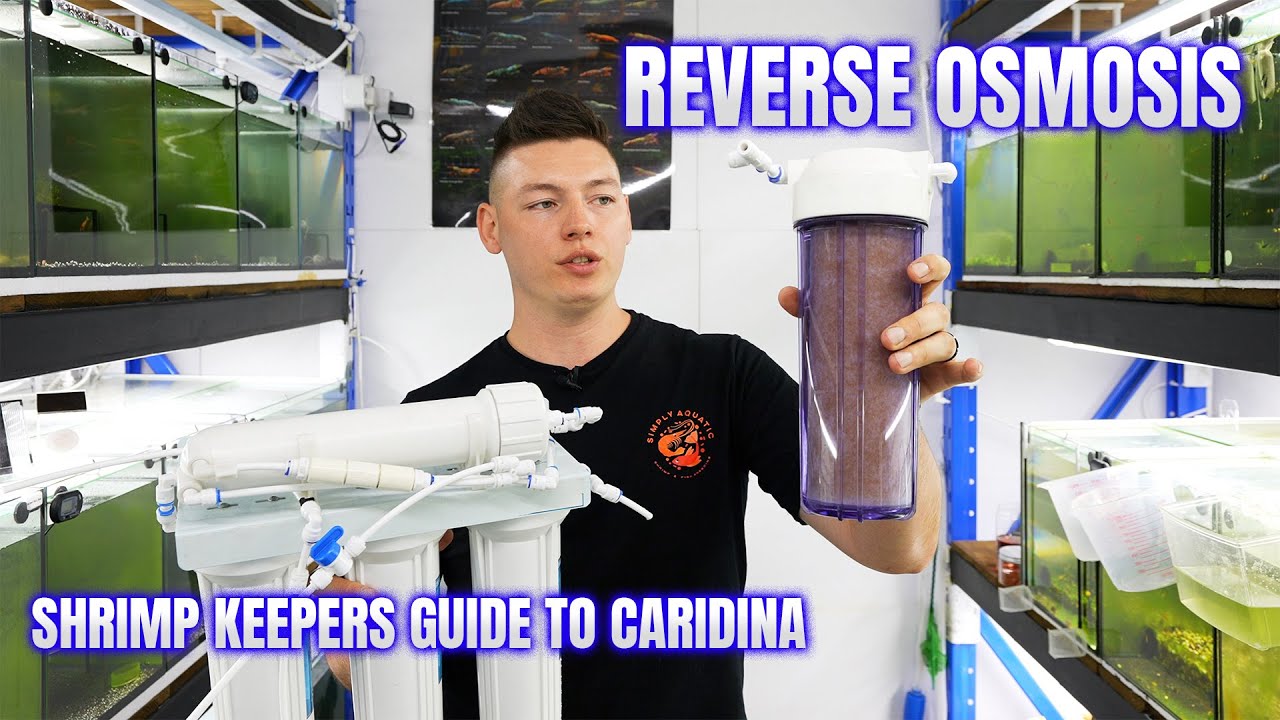 Объяснение принципа обратного осмоса для любителей креветок (Caridina Keepers, эпизод 1)
