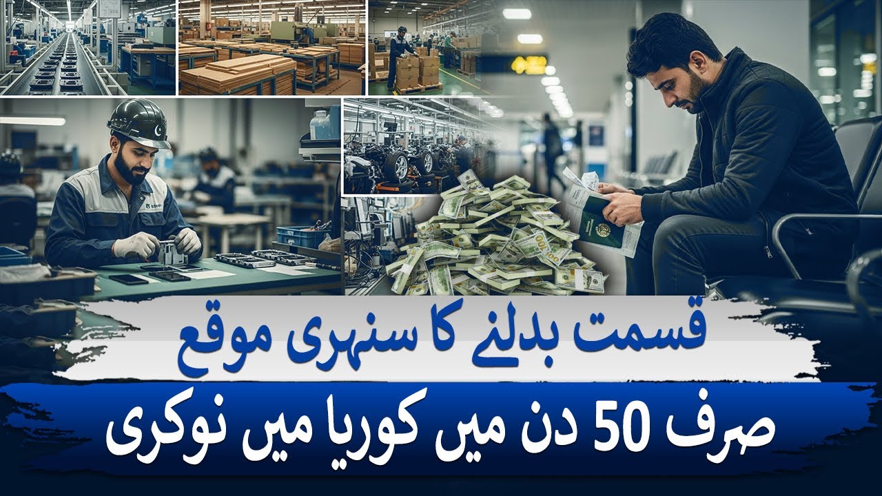 I Landed a Job in Korea in 50 Days as a Pakistani and Here's How