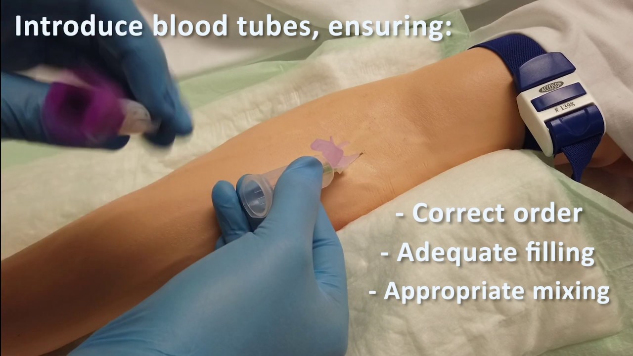 Venepuncture - Otago Medical School