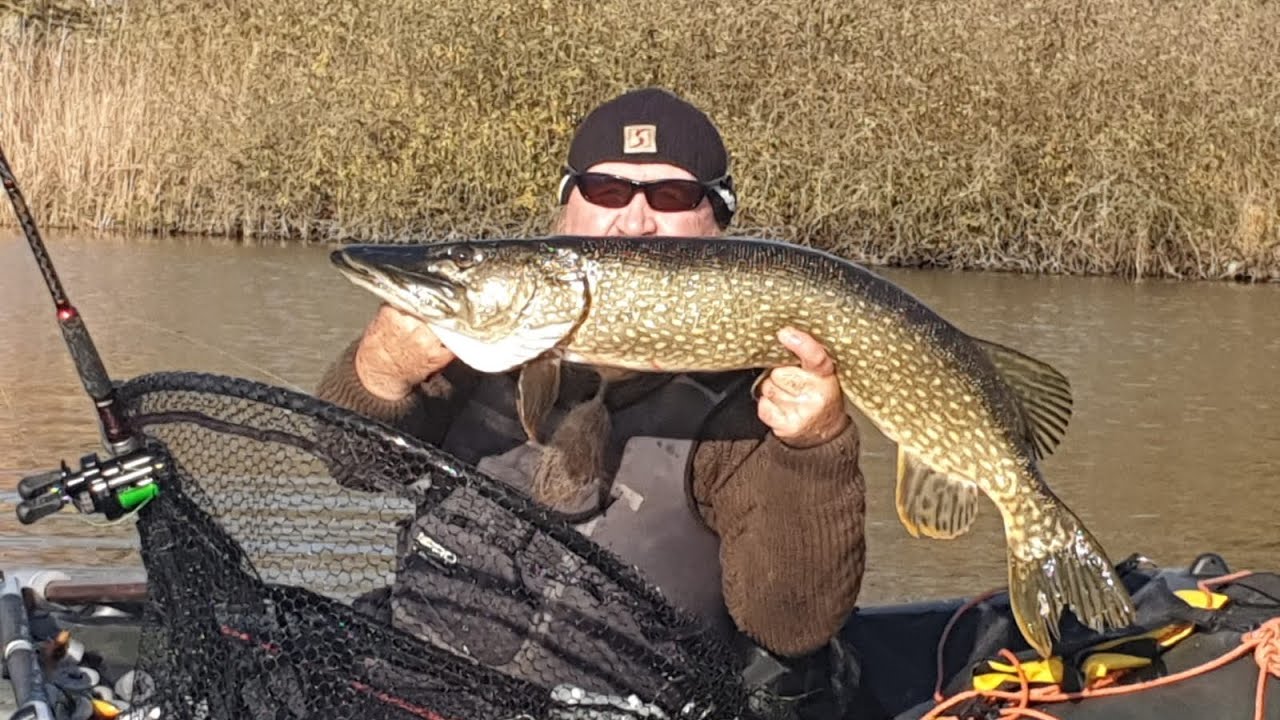 Erfolgreich Hechte angeln - Tipps für die richtige Wahl von Rute und Rolle - Anglerschwatz