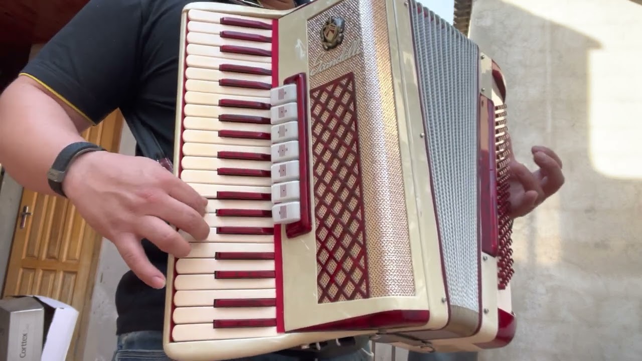 Acordeon Scandalli Série Ouro 120 Oitavada (✈️✈️✈️Vendido)
