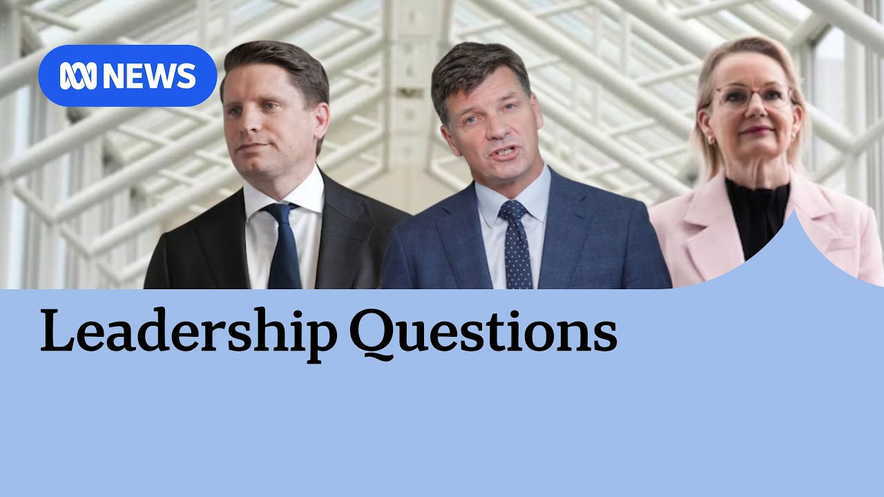 Liberals Andrew Hastie, Angus Taylor yet to declare leadership intentions | ABC NEWS