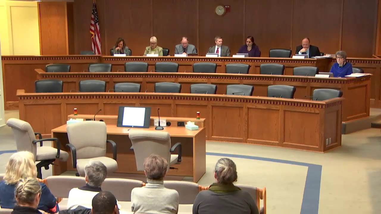 Sen. Dhingra Law & Justice Committee Testimony on Domestic Violence Harassment