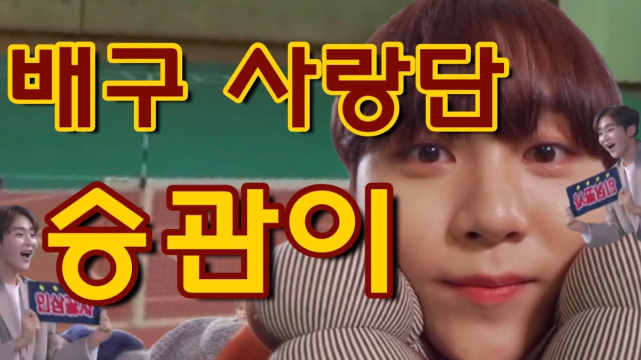 [세븐틴/승관] 배구 사랑단 승관이