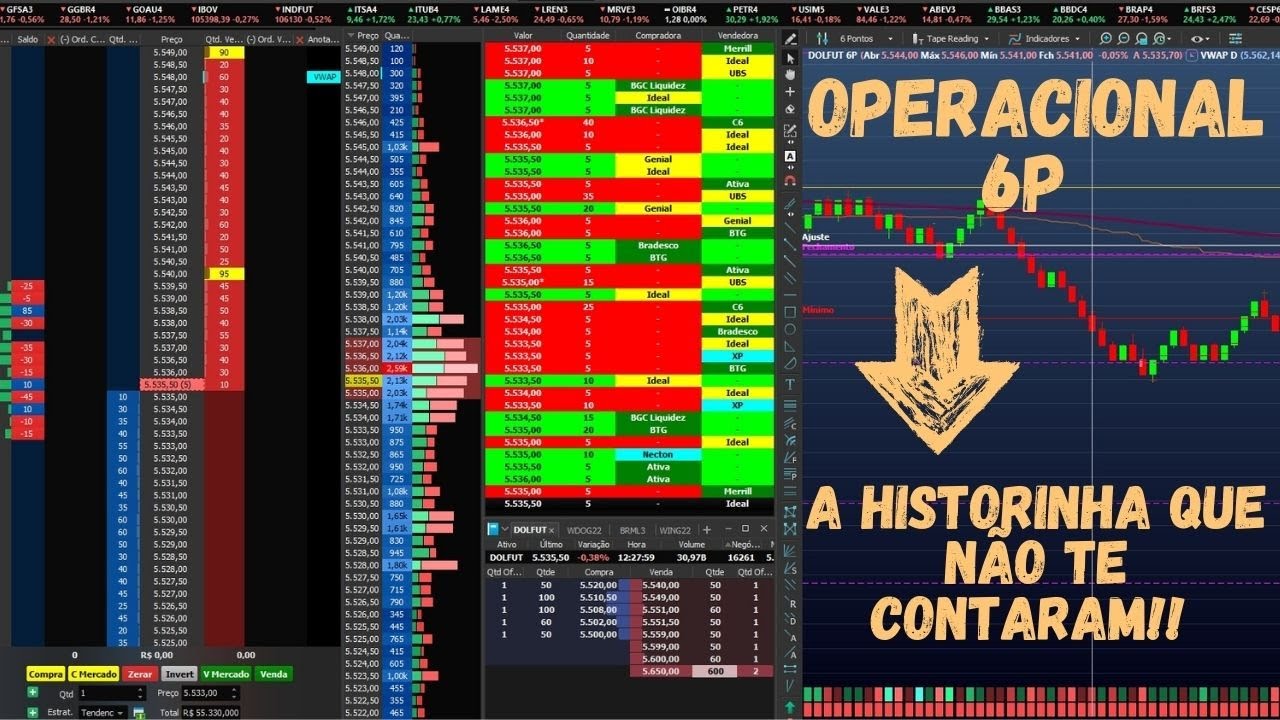 Gráfico 6P - Ponto chave no desenvolvimento