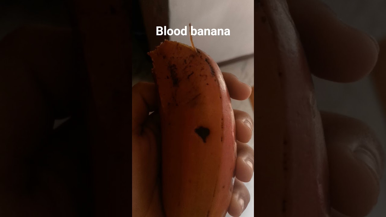 blood banana in real life#fyp #foryou #foryoupage #trend #roblox #foryou