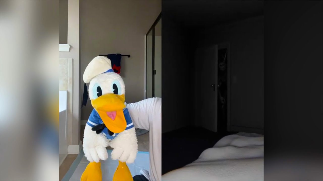 Donald Ducc SCARIEST TikToks 62 (DO NOT BE SCARED CHALLENGE)