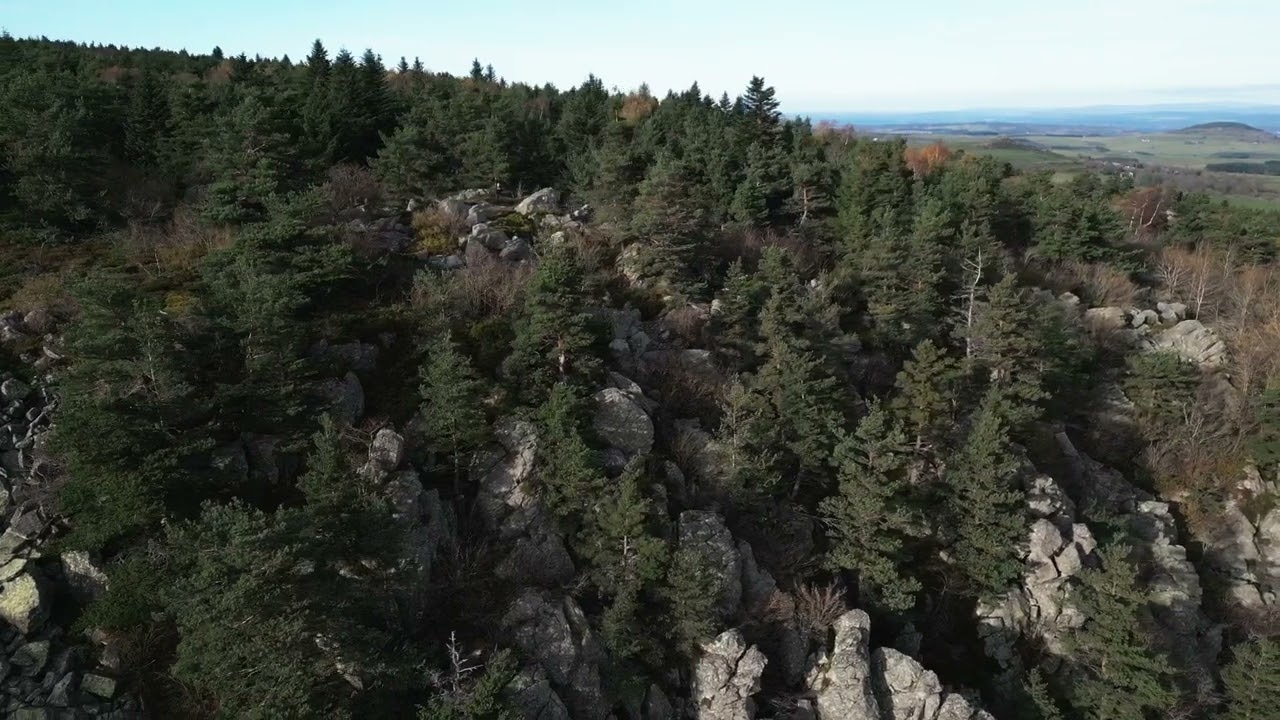 Bois des Roches, novembre 2022