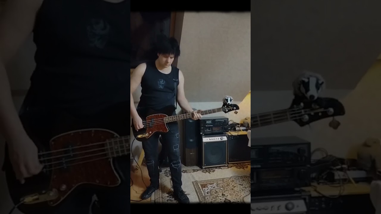 The March Violets- Steam bass cover