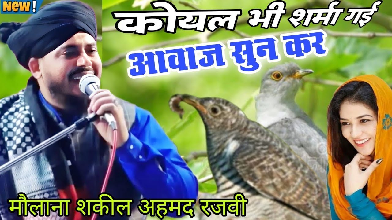 कोयल भी शर्मा गई आवाज सुन कर ✓#muftishakeel ✓By ✓Maulana Shakeel Ahmad Razvi ✓Latest Bayan ✓special