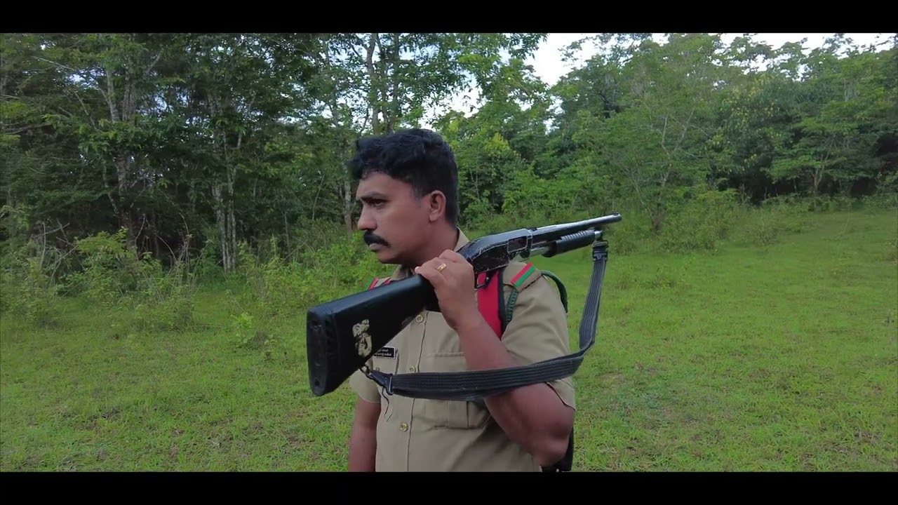 ONE DAY NIGHT STAY AT DEEP FOREST| #PERIYAR TIGER RESERV ,#PERIYAR WILDLIFE SANCTUARY,#THEKKADI