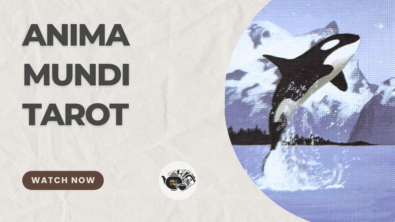 Anima Mundi Tarot | Megan Wyreweden