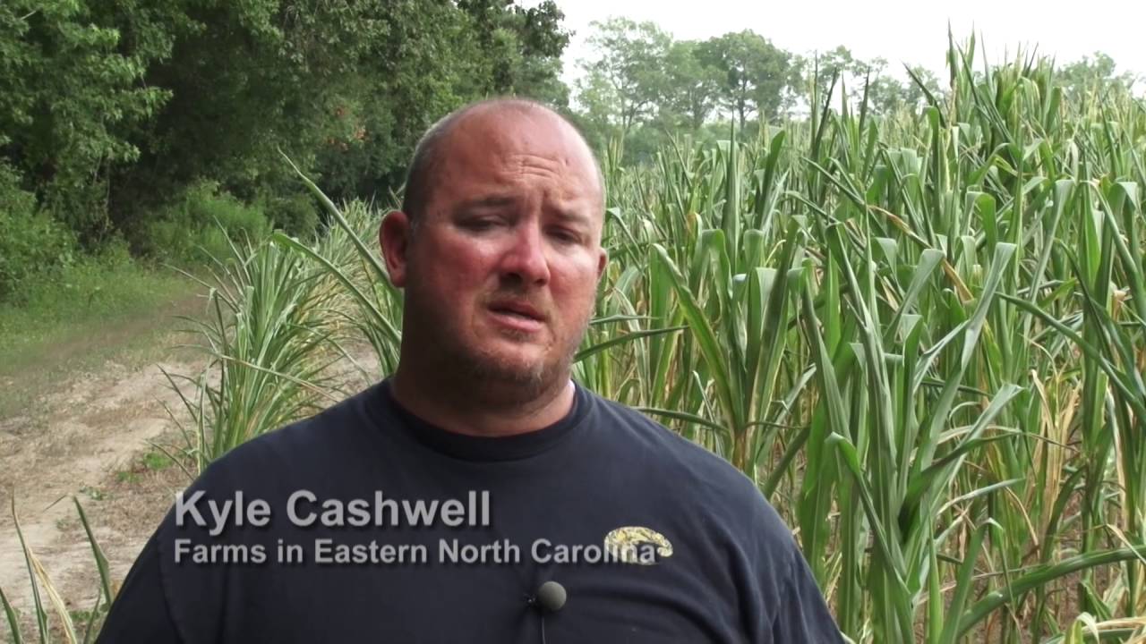 Three Farmers Stories of Survival