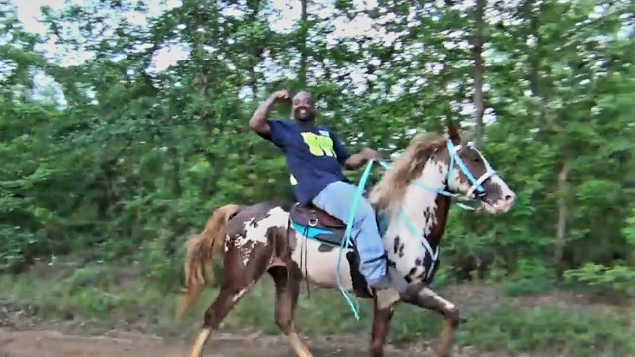 Atlanta Speed Racking and Singlefoot Trail Ride 2026