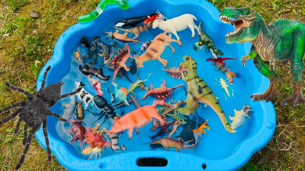 Apprendre le nom des animaux en s’amusant | Les animaux en français | vidéo éducative