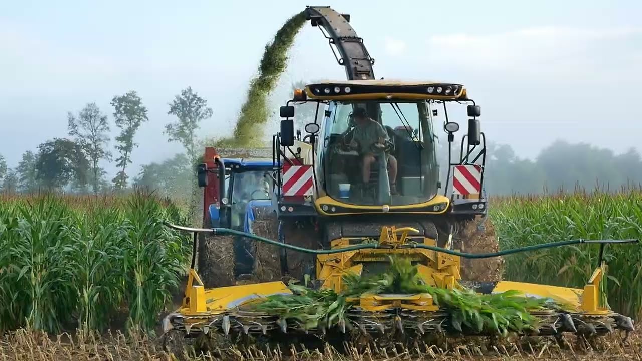 🌽ENSILAGE in FRANCE🇫🇷🚜