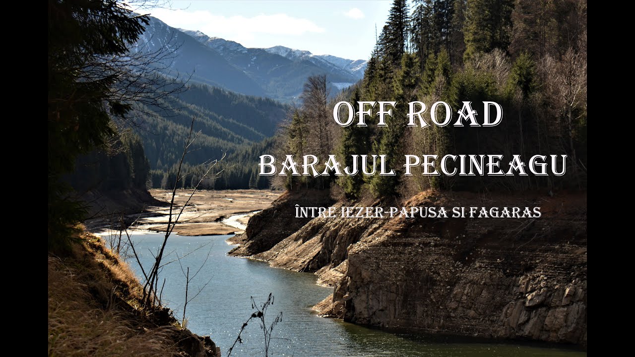 Barajul Pecineagu🚙🔥🐾🍂