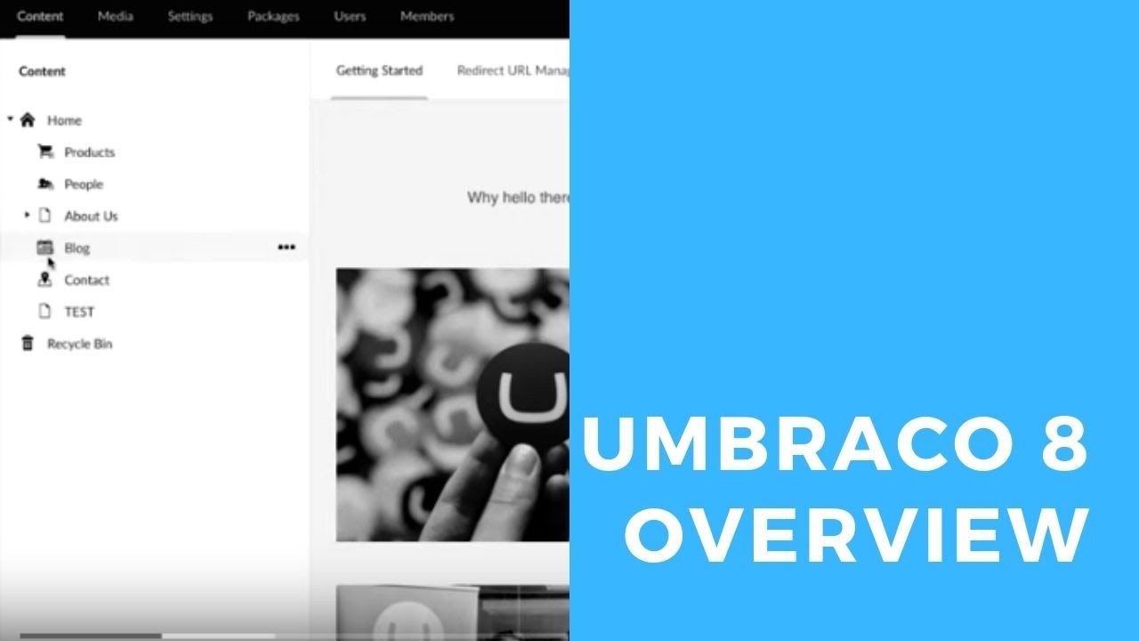 ipso Educated | Umbraco 8 Overview