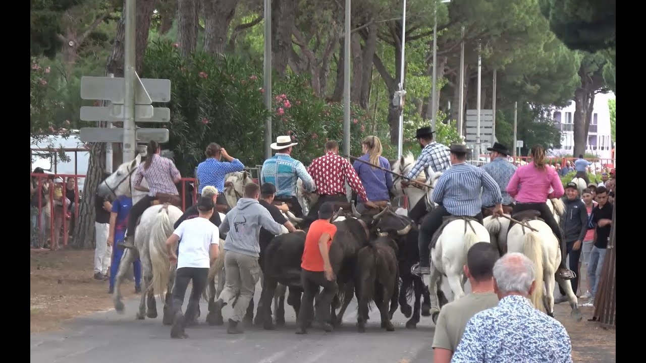 La Grande Motte ▶Abrivado◀ 23.06.2023