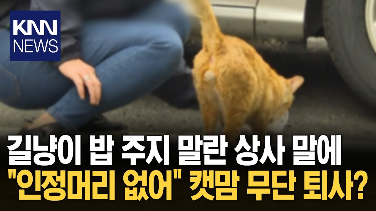 '회사'보다 고양이 밥이 우선? 