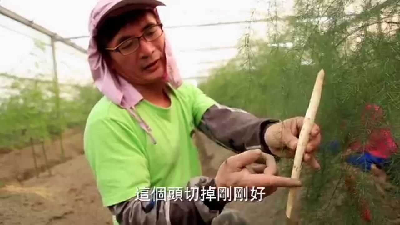 雲鄉生機─蘆筍篇