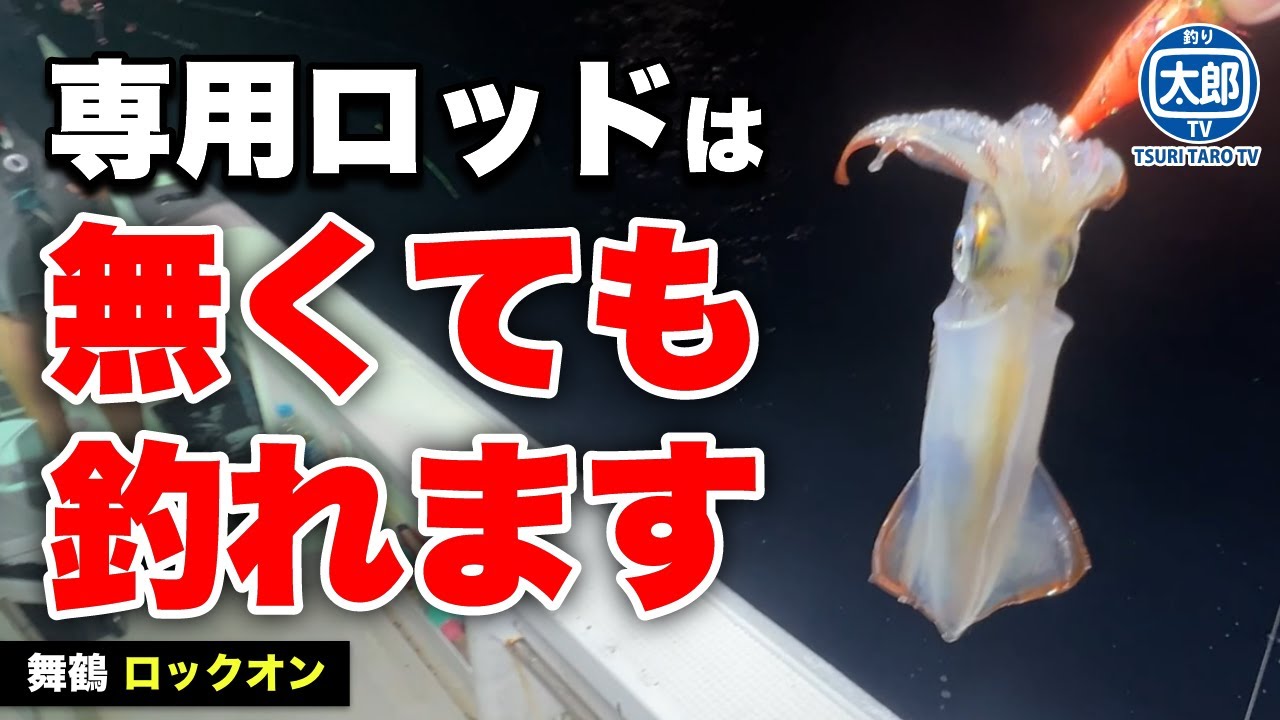 専用ロッドじゃ無くても釣れるのか？舞鶴でイカメタル実釣編 #釣り #初心者 #船釣り #京都 #舞鶴 #イカメタル