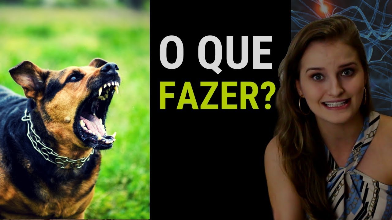 OS ANIMAIS PODEM VER ESPÍRITOS? 😱 | Fran te Explica