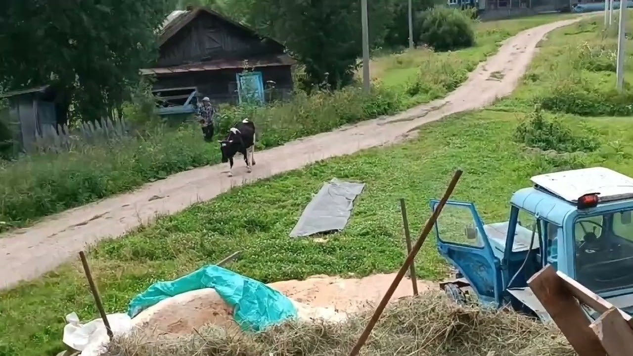 Сенокос. Новые жильцы.