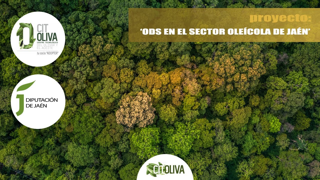 P&iacute;ldora formativa proyecto 