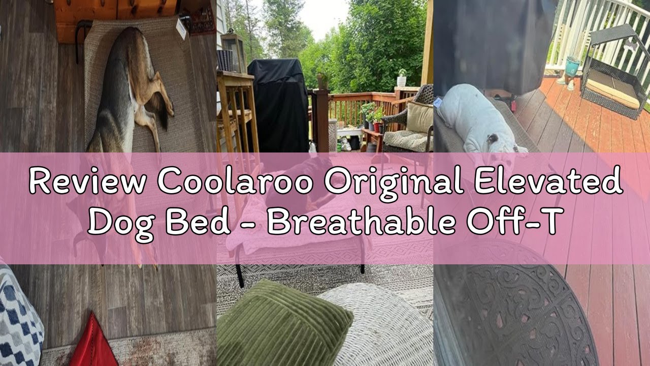 Review Coolaroo Original Elevated Dog Bed - Breathable Off-The-Ground Pet Bed with Cooling Fabric, J