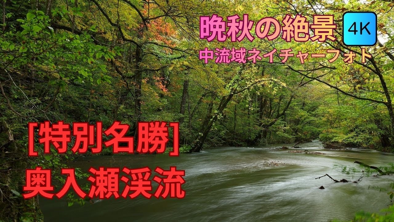 奥入瀬渓流（晩秋の中流域）風景写真 [4K] | Oirase Gorge [Just before autumn leaves Vol.1] Nature Photography