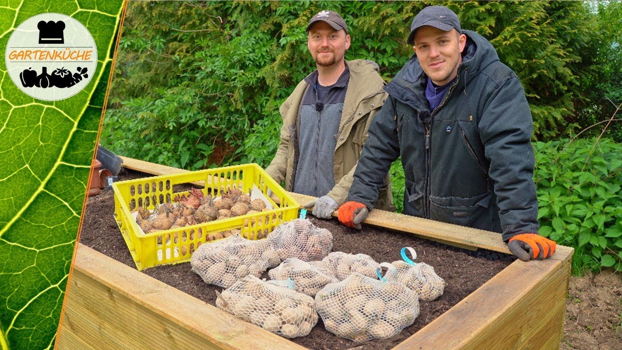 Kartoffelbeet anlegen und Kartoffeln pflanzen 🥔